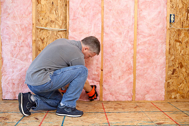 Best Eco-Friendly Insulation in Las Vegas, NV